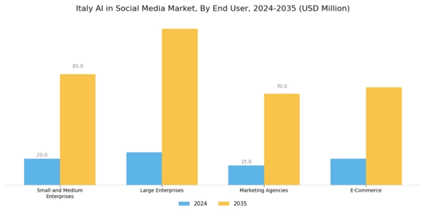 Italy AI in Social Media Market Segment Image 2