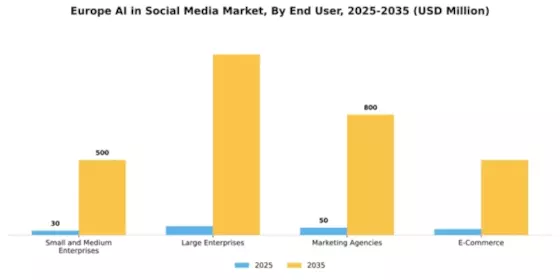 Europe AI in Social Media Market Segment Image 2