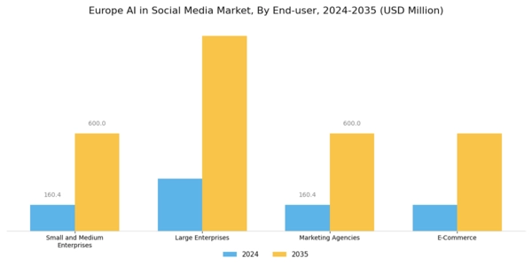 Europe AI in Social Media Market Segment Image 2