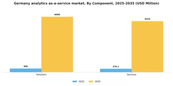 Germany Analytics as a Service Market Segment Image 1