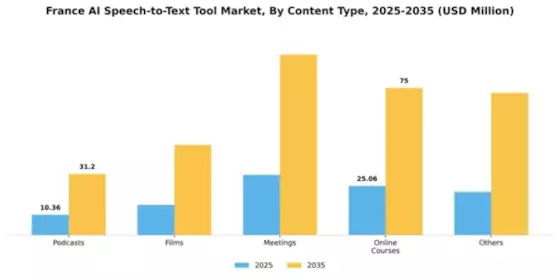 France AI Speech to Text Tool Market Segment Image 0