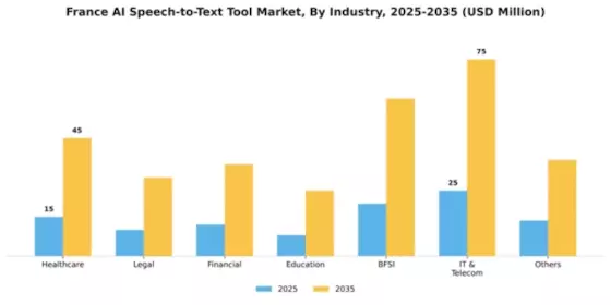 France AI Speech to Text Tool Market Segment Image 1