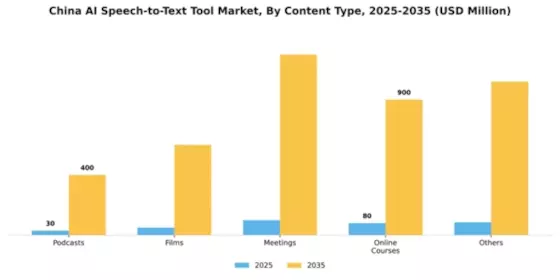 China AI Speech to Text Tool Market Segment Image 0