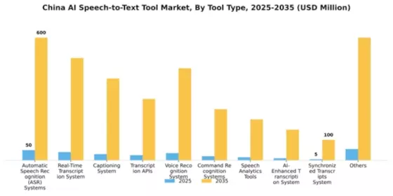 China AI Speech to Text Tool Market Segment Image 2