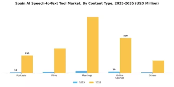 Spain AI Speech to Text Tool Market Segment Image 0