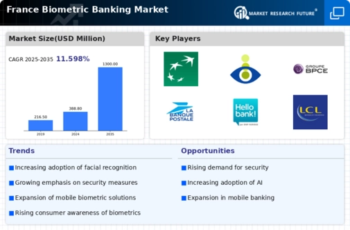 France Biometric Banking Market Infographic