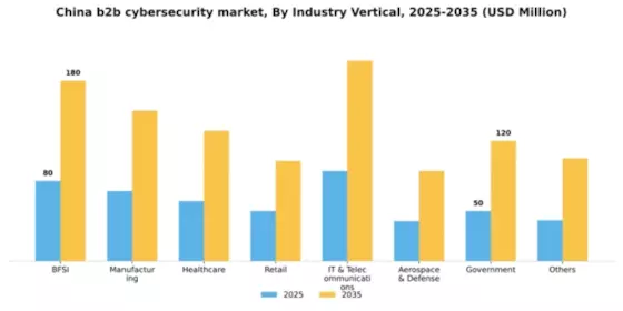 China B2B Cybersecurity Market Segment Image 1