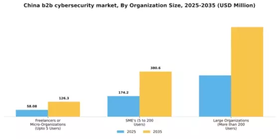 China B2B Cybersecurity Market Segment Image 3
