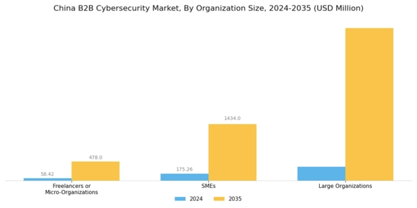 China B2B Cybersecurity Market Segment Image 3