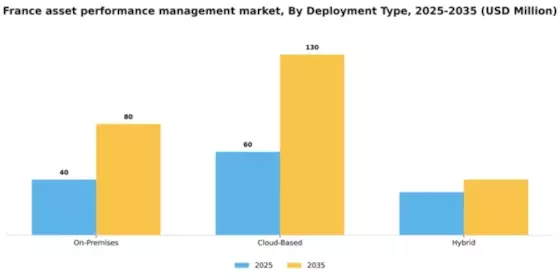 France Asset Performance Management Market Segment Image 2