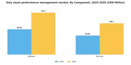Italy Asset Performance Management Market Segment Image 1