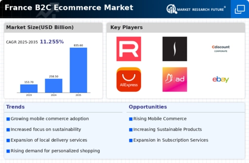 France B2C E commerce Market Infographic