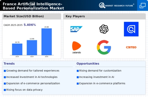 France Artificial Intelligence Based Personalization Market Infographic