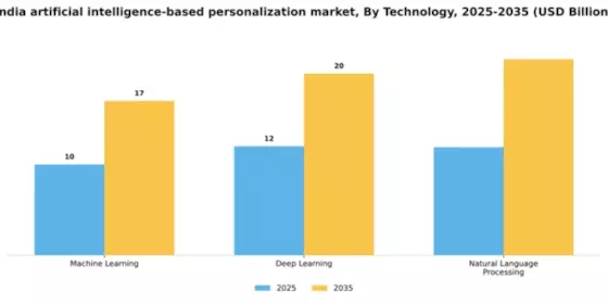 India Artificial Intelligence Based Personalization Market Segment Image 1