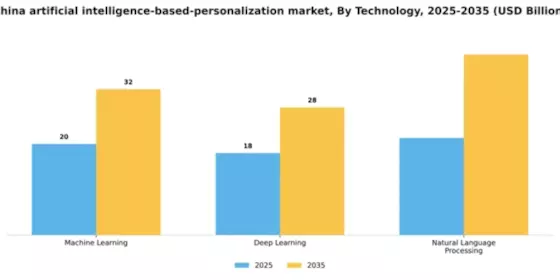 China Artificial Intelligence Based Personalization Market Segment Image 1