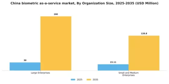 China Biometric As A Service Market Segment Image 2