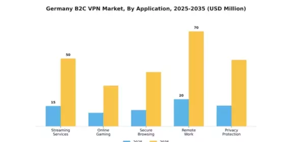 Germany B2C VPN Market Segment Image 0