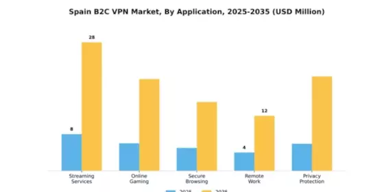 Spain B2C VPN Market Segment Image 0