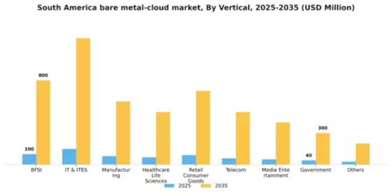 South America Bare Metal Cloud Market Segment Image 2