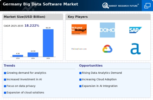 Germany Big Data Software Market Infographic