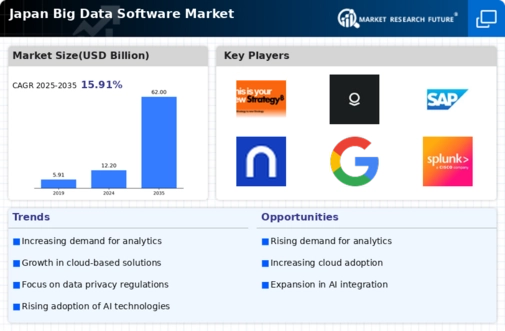Japan Big Data Software Market Infographic