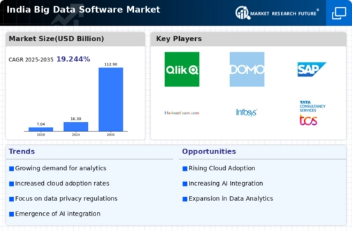 India Big Data Software Market Infographic