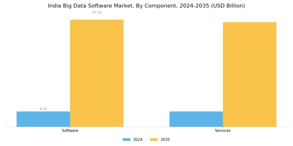 India Big Data Software Market Segment Image 0
