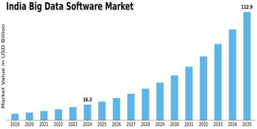 India Big Data Software Market Size