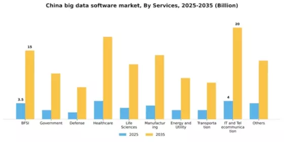 China Big Data Software Market Segment Image 2
