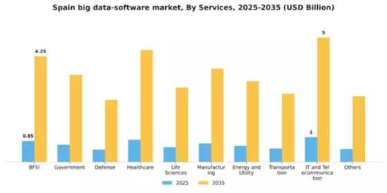 Spain Big Data Software Market Segment Image 2
