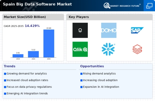 Spain Big Data Software Market Infographic