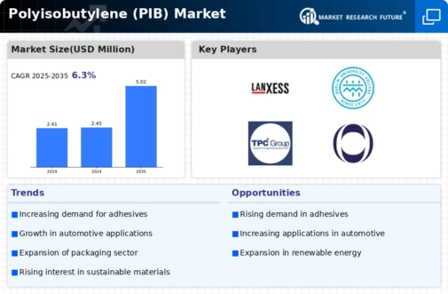 Polyisobutylene Market Infographic