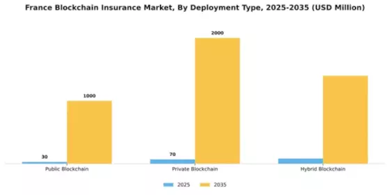 France Blockchain Insurance Market Segment Image 1