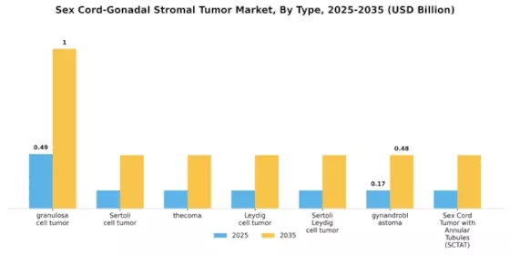 Sex Cord Gonadal Stromal Tumor Market Segment Image 3