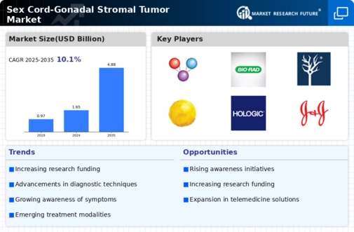 Sex Cord Gonadal Stromal Tumor Market Infographic