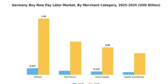 Germany Buy Now Pay Later Market Segment Image 1
