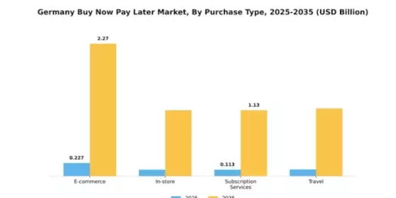 Germany Buy Now Pay Later Market Segment Image 3