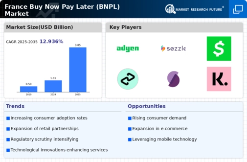 France Buy Now Pay Later Market Infographic