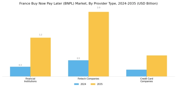 France Buy Now Pay Later Market Segment Image 2
