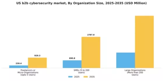 US B2B Cybersecurity Market Segment Image 3