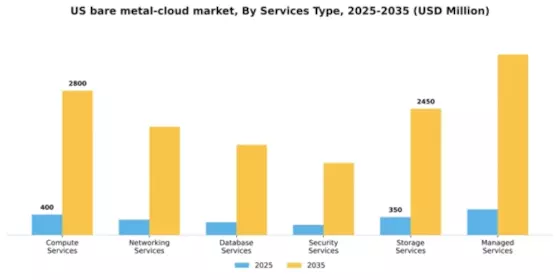 US Bare Metal Cloud Market Segment Image 1