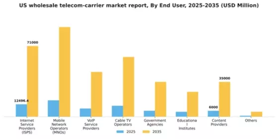 US Wholesale Telecom Carrier Market Segment Image 0