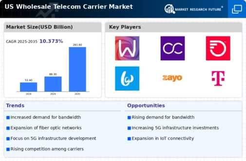 US Wholesale Telecom Carrier Market Infographic
