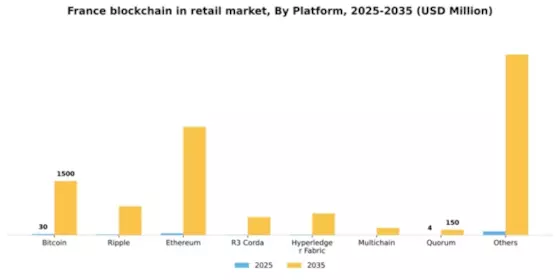 France Blockchain in Retail Market Segment Image 2