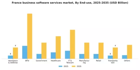 France Business Software Services Market Segment Image 1