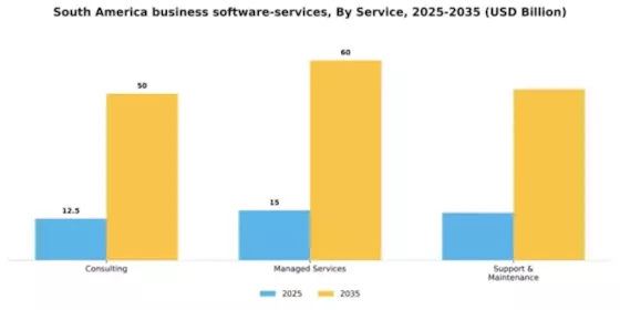 South America Business Software Services Market Segment Image 3