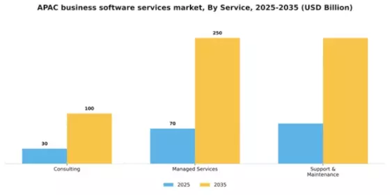 APAC Business Software Services Market Segment Image 3