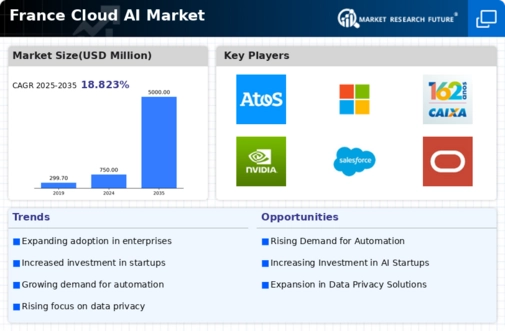 France Cloud AI Market Infographic