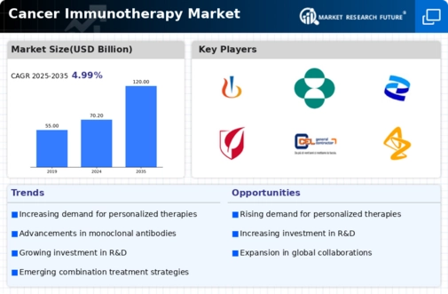 Cancer Immunotherapy Market Infographic