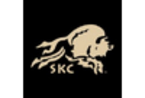 Polyethylene Naphthalate Market key player